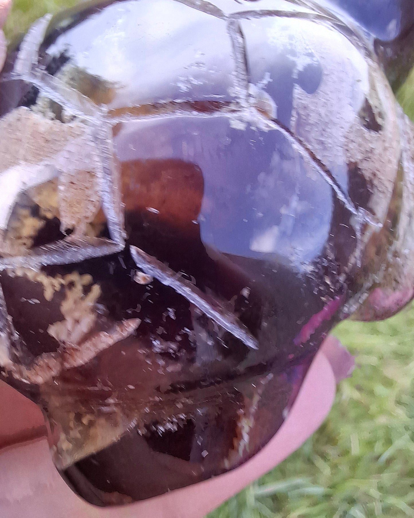 Red Amber Turtle, 56.87g, Carving, Fossil (Ref:TT7)