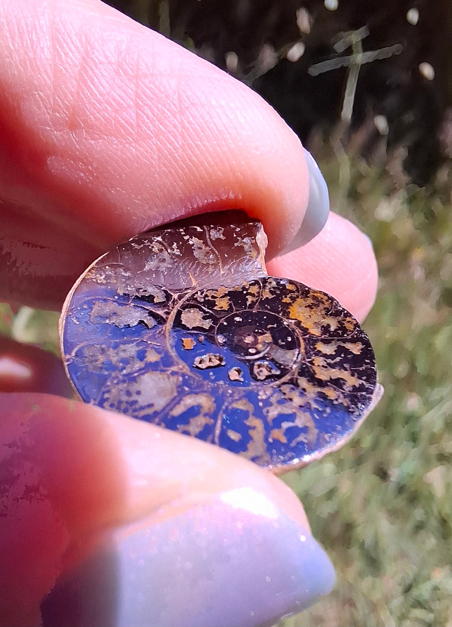 Small Haematite Ammonite HALF, 2.19g, Fossil (Ref: MA3)
