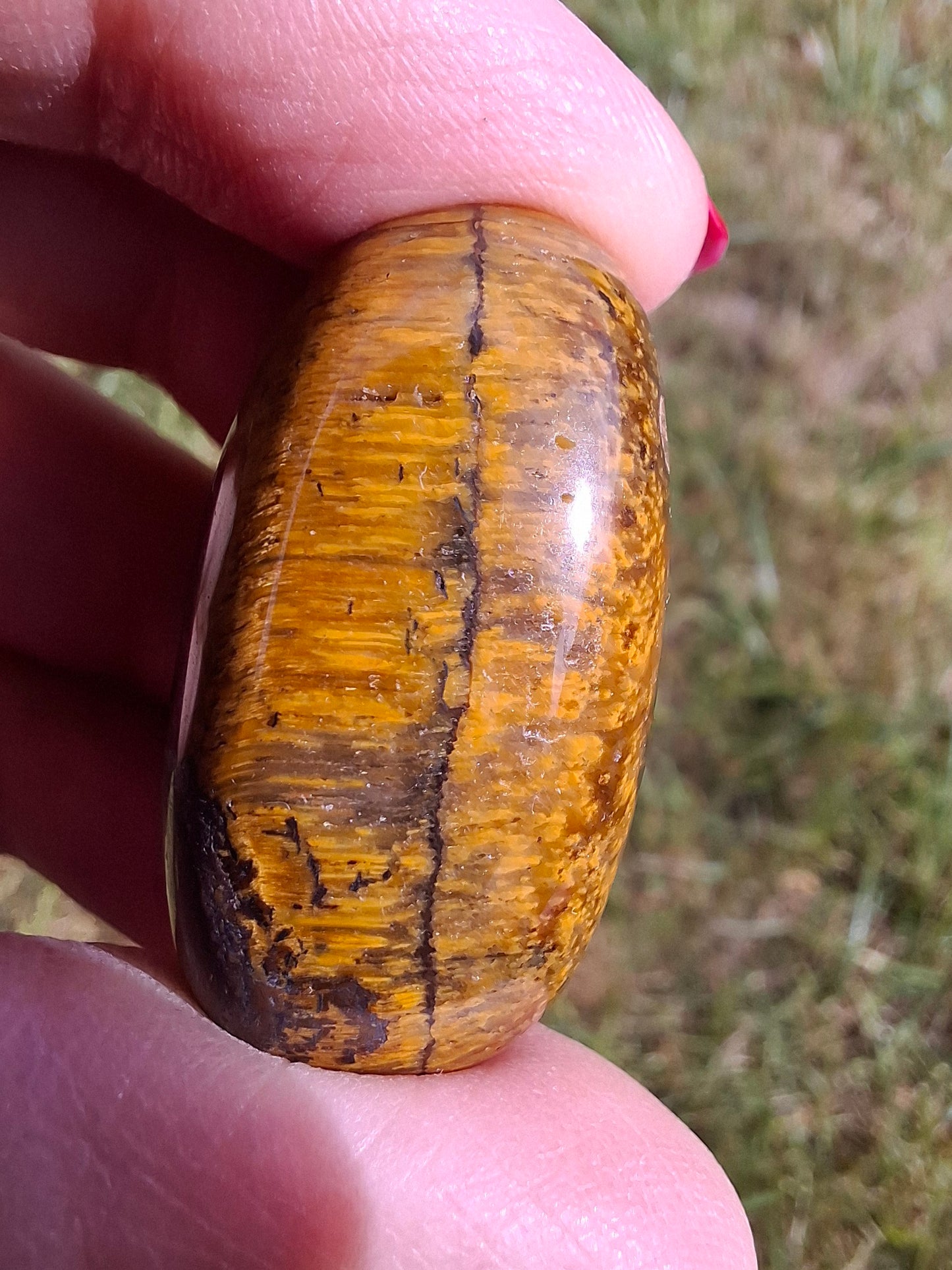 Tigers Eye, Tumble Stone, Crystal (Ref: T129)