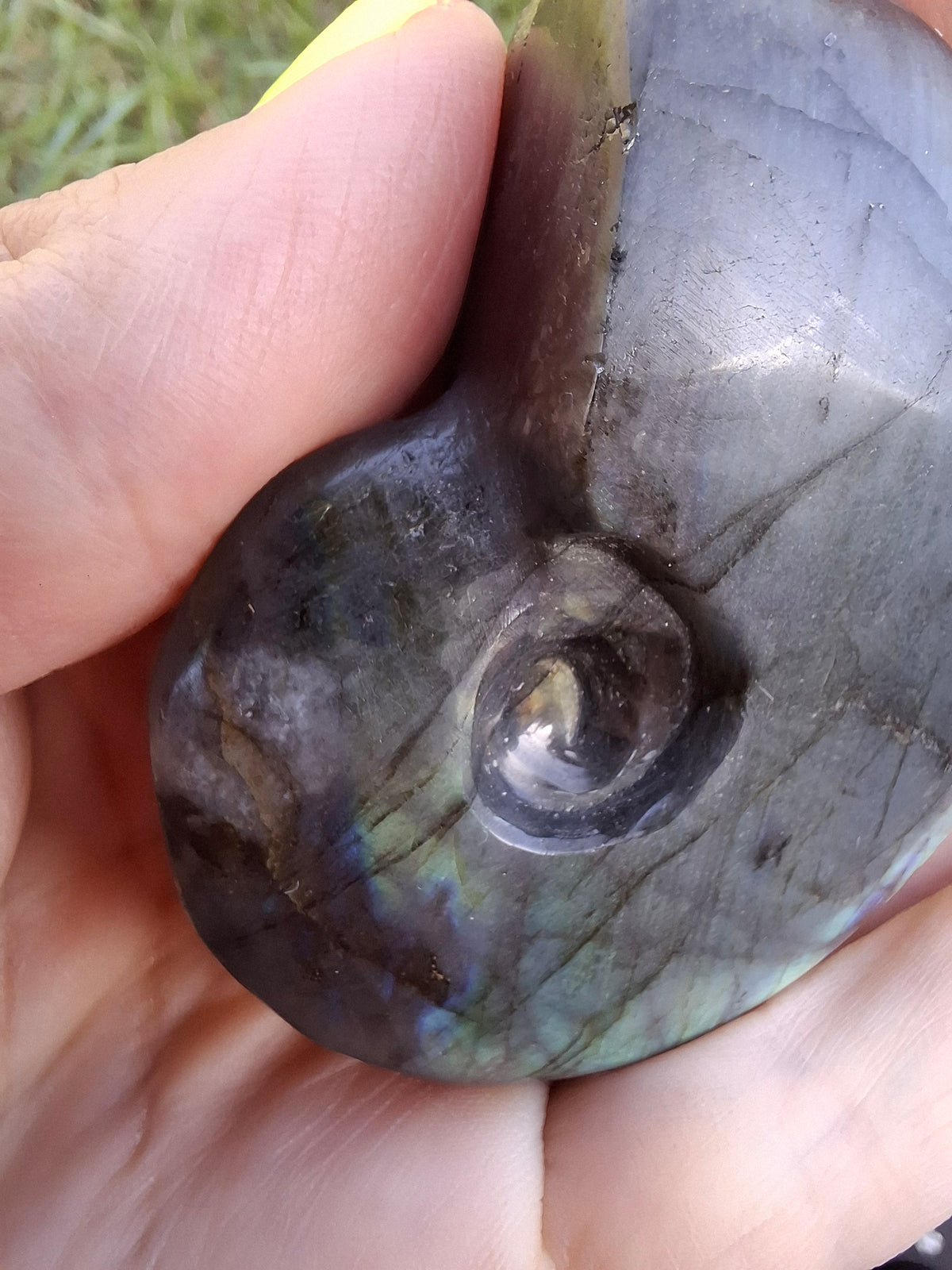 Labradorite Ammonite carving, 96.88g, Crystal (Ref: laba1)