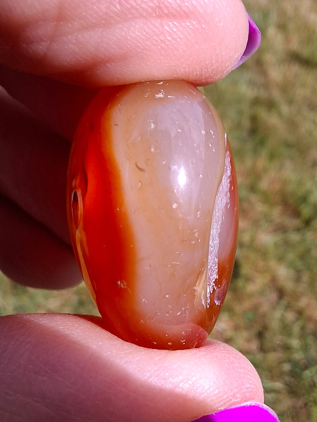 Carnelian, Tumble Stone, Crystal (Ref: T66)