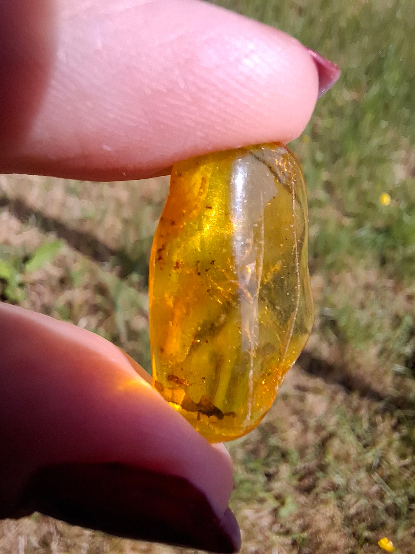 Baltic Amber, 1.23g, Fossil (Ref: A237)