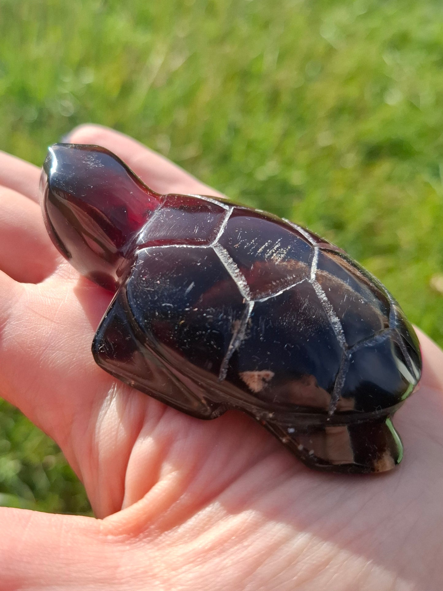 Red Amber Turtle, 52.00g, Carving, Fossil (Ref: TT3)