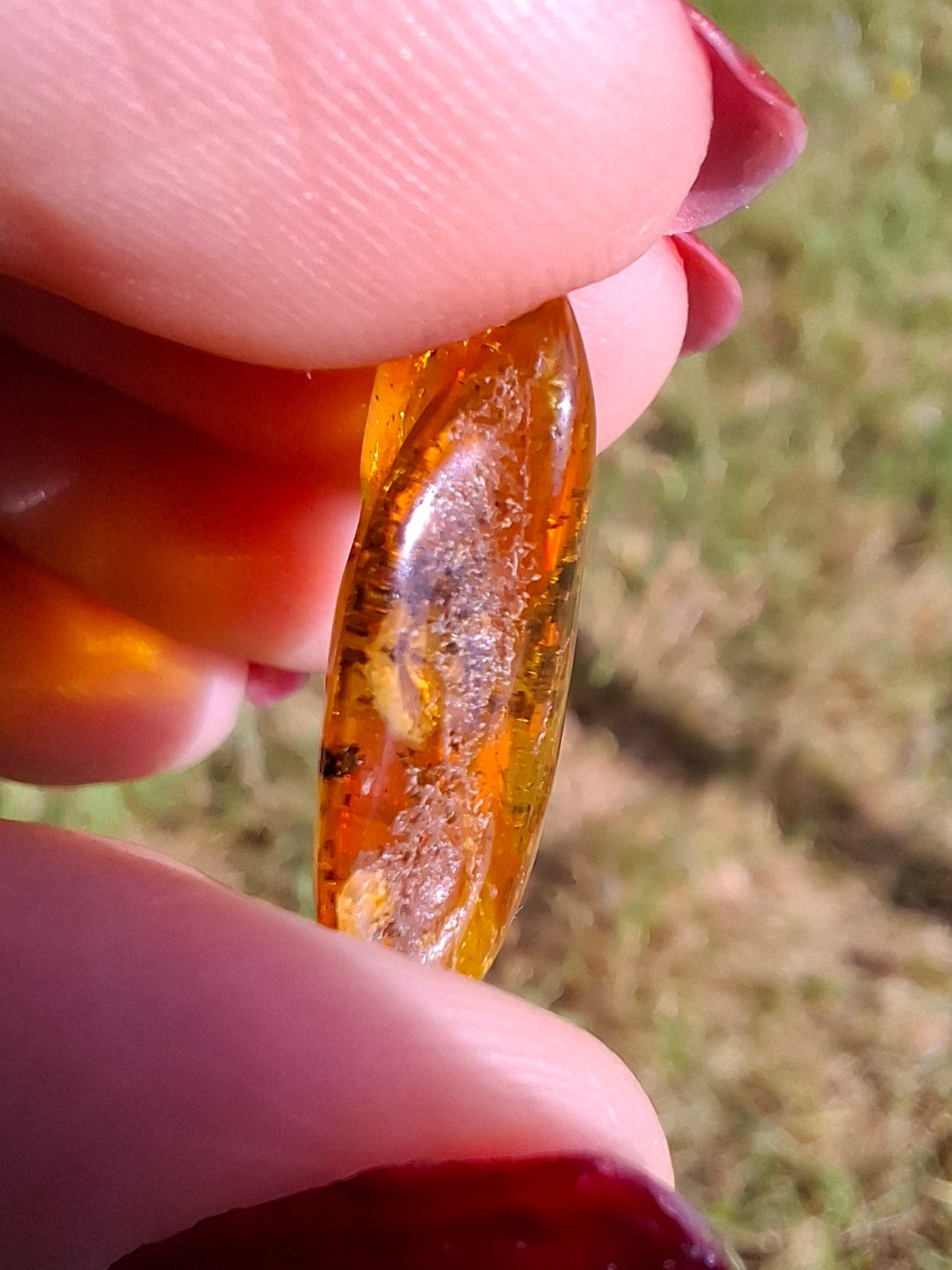 Baltic Amber, 1.13g, Fossil (Ref: A241)