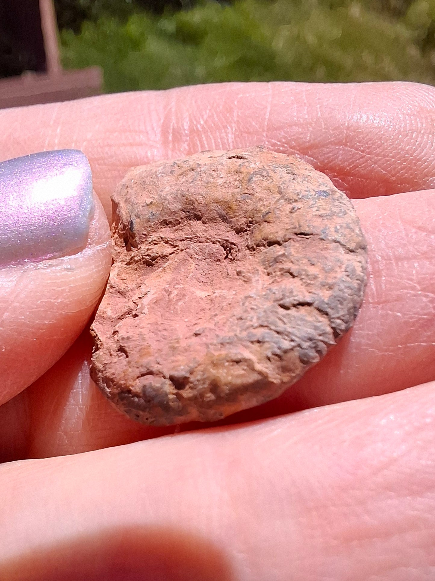 Small Haematite Ammonite HALF, 1.66g, Fossil (Ref: MA2)