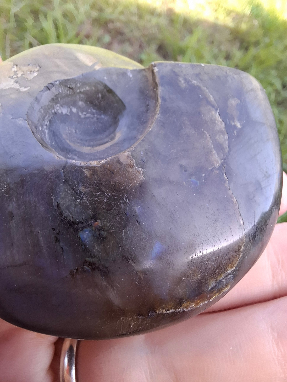 Labradorite Ammonite Carving, 146.90g, Crystal (Ref: laba5)