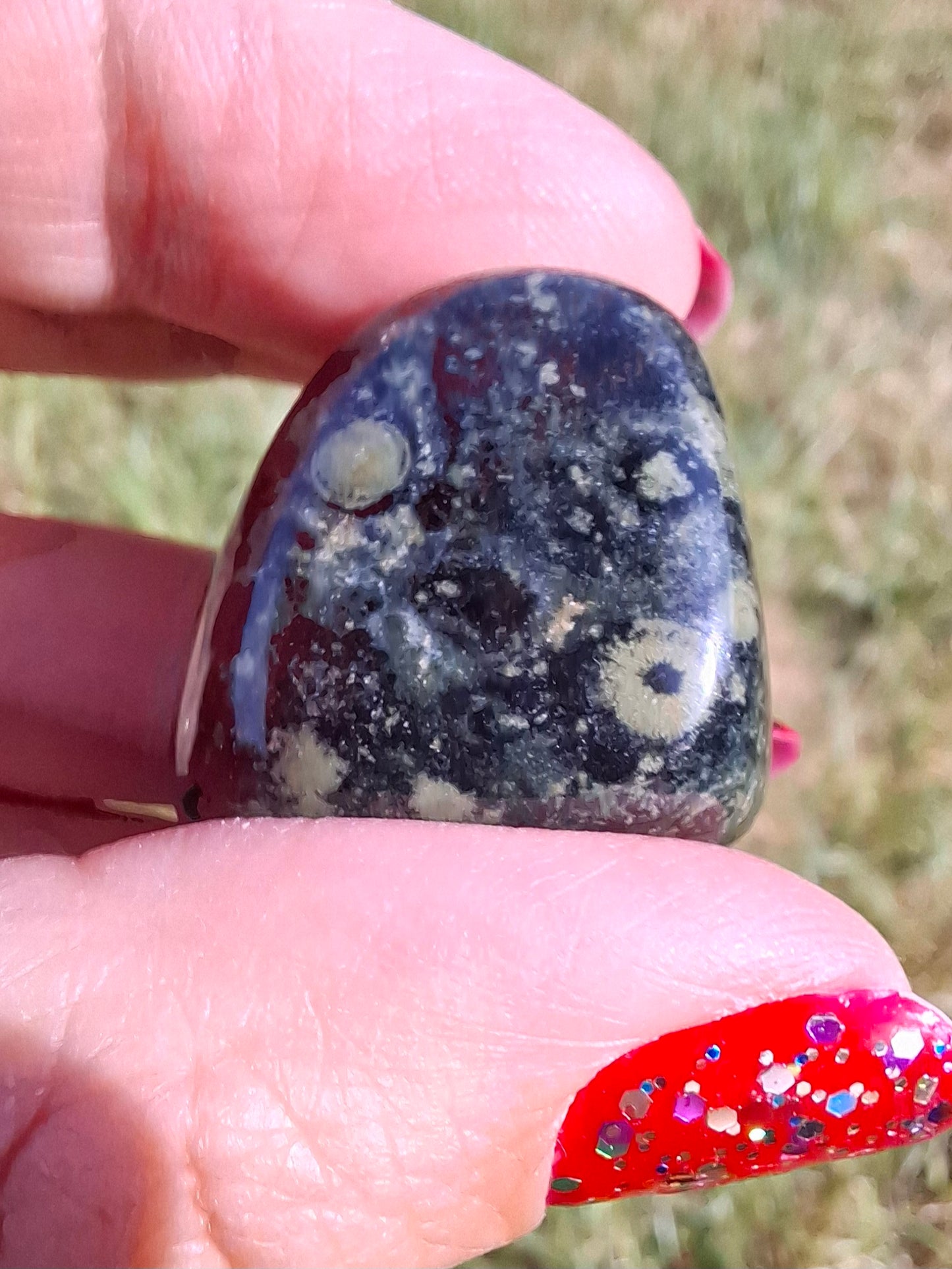 Kambaba Jasper, Tumble Stone, Crystal (Ref: T163)