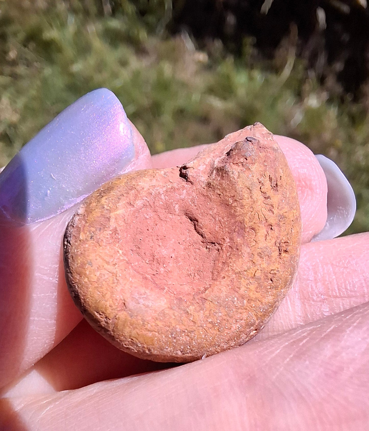 Small Haematite Ammonite HALF, (2.91g), Fossil (Ref: MA1)