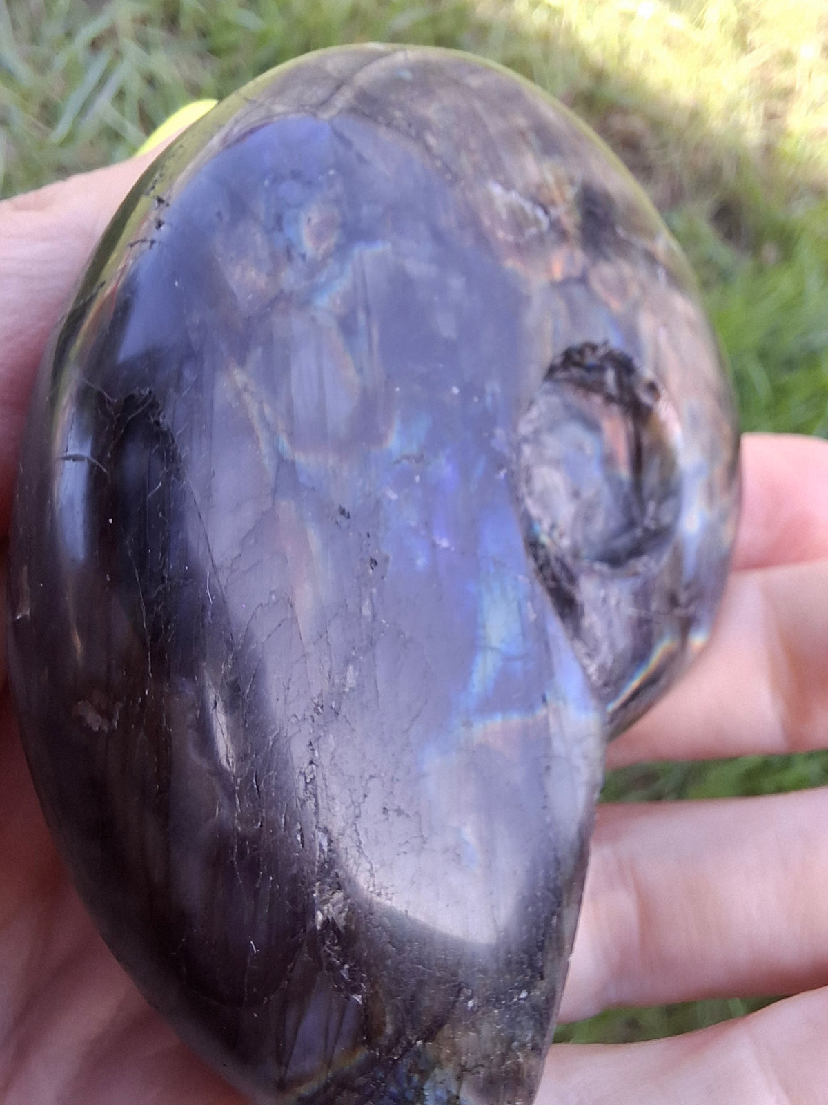 Labradorite Ammonite Carving, 153.97g, Crystal (Ref: laba2)