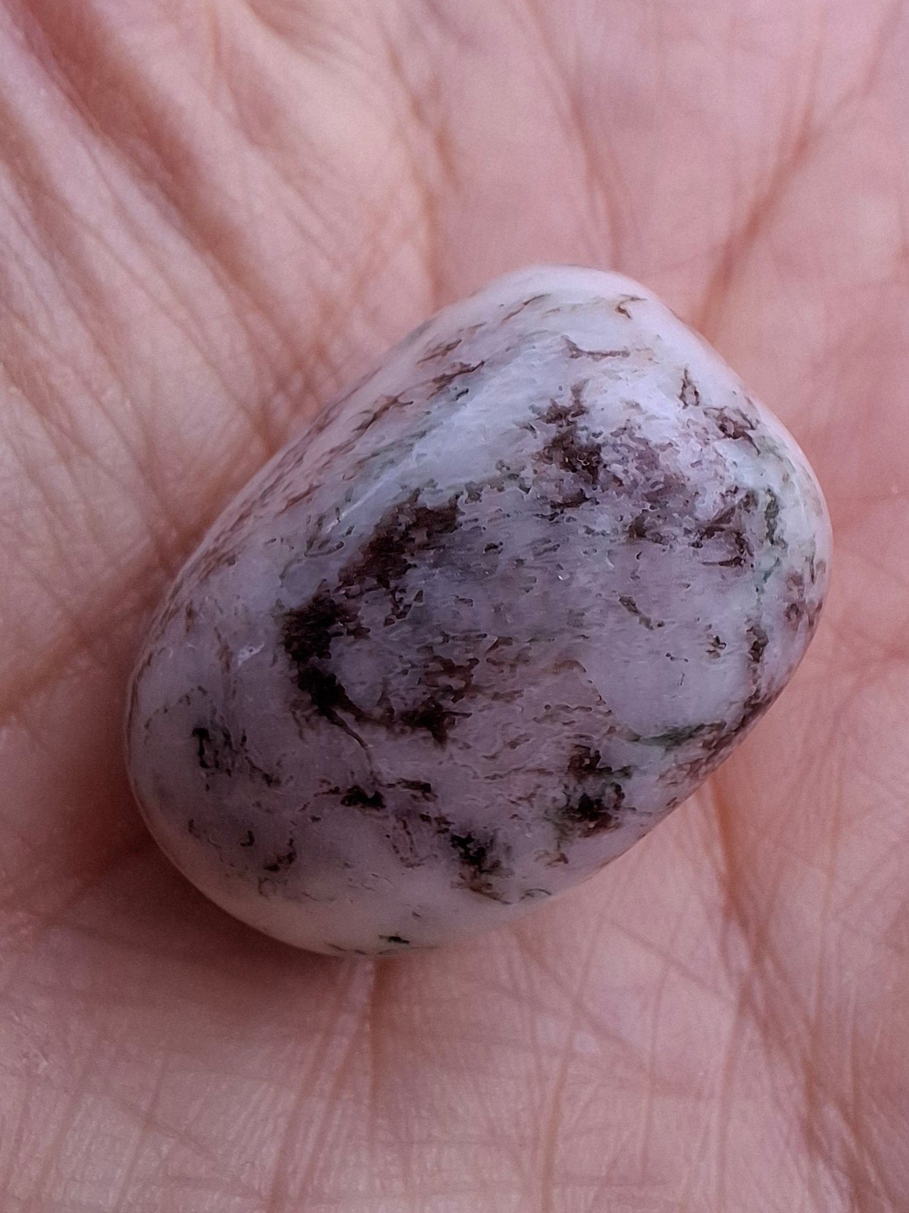 Tree Agate, Tumble Stone, Crystal (Ref: T6)