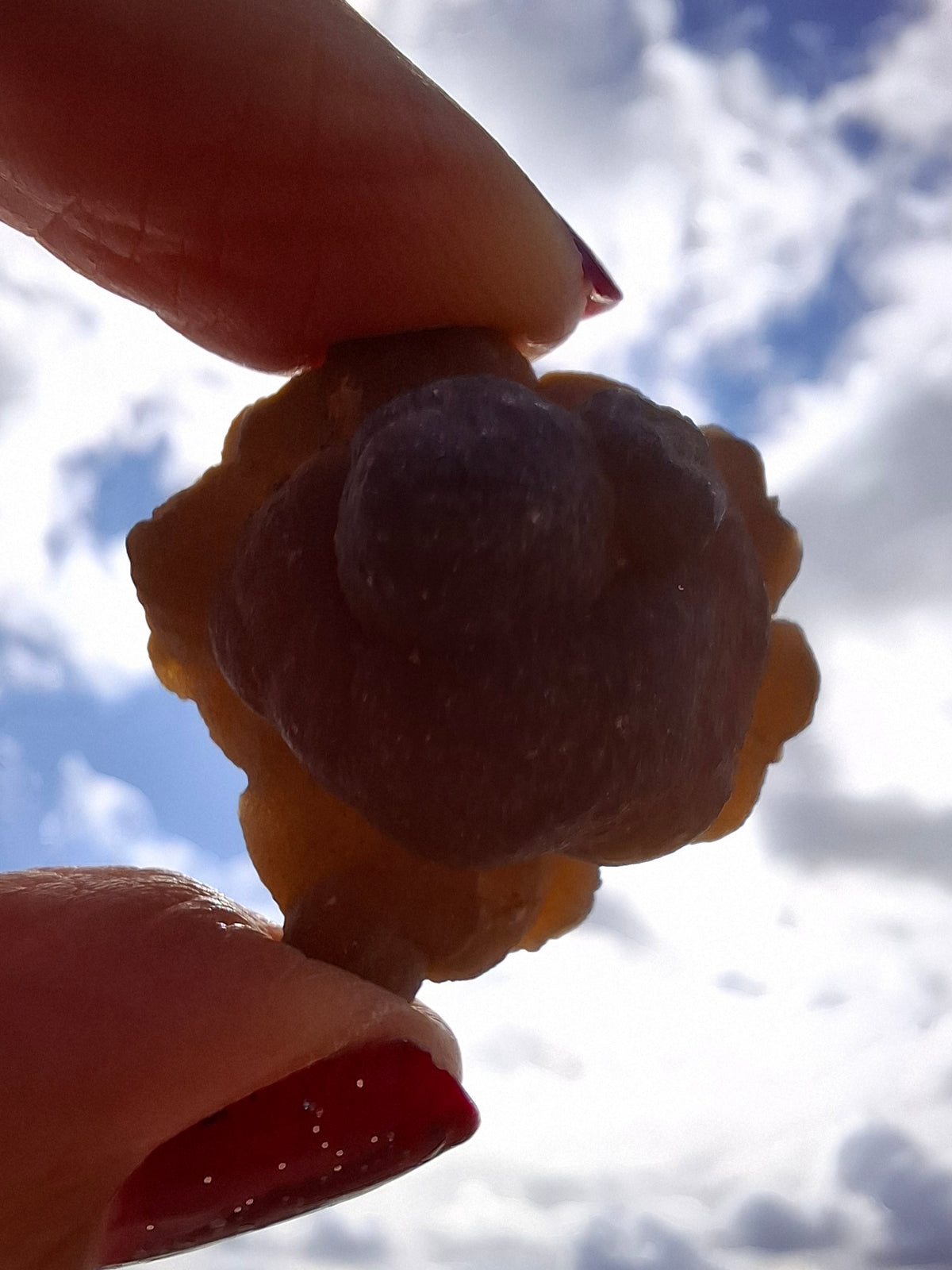 Nebula Chalcedony, 16.57g, Fossil (Ref: NC10)
