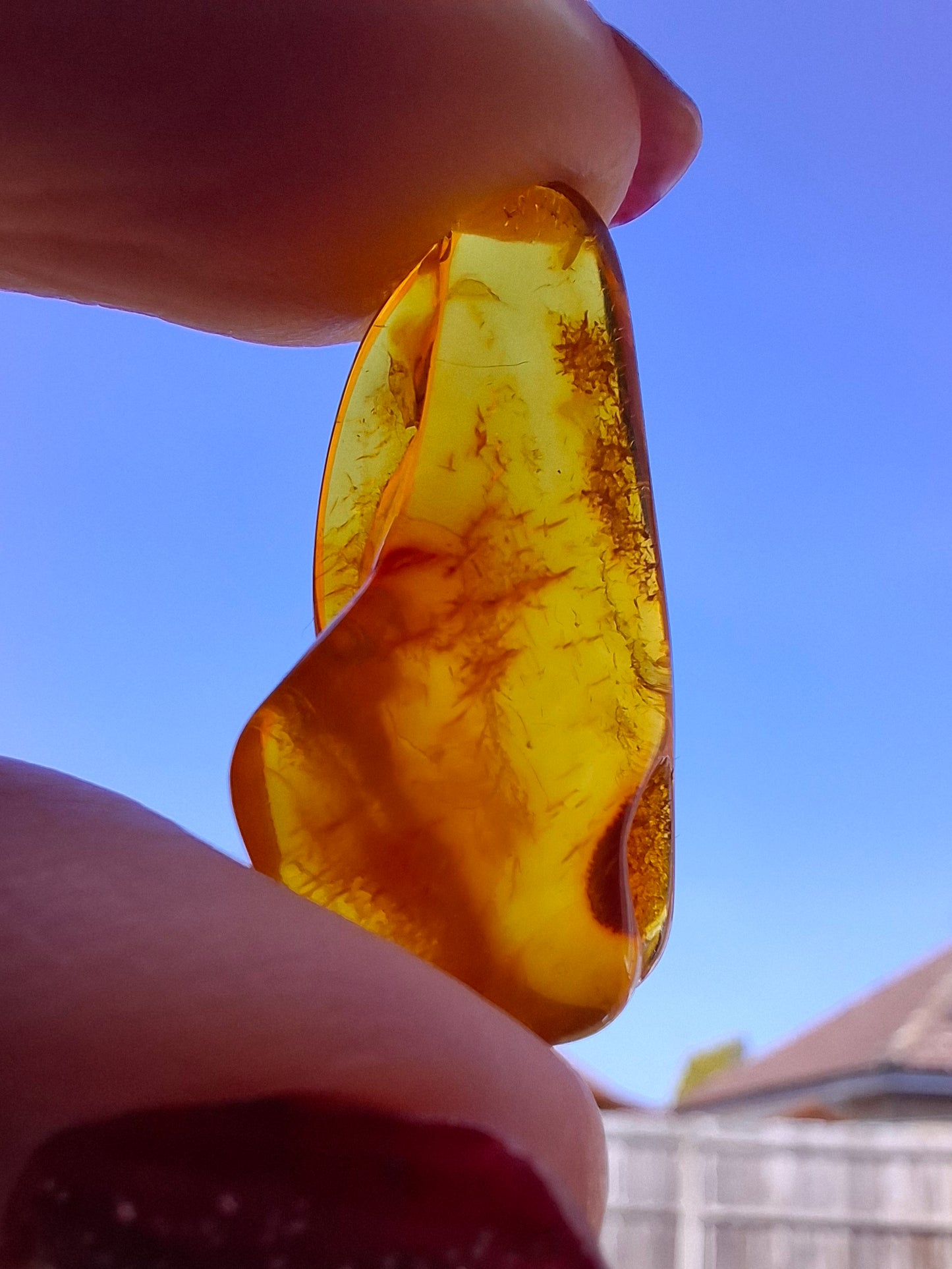 Baltic Amber, 1.48g, Fossil (Ref: A221)