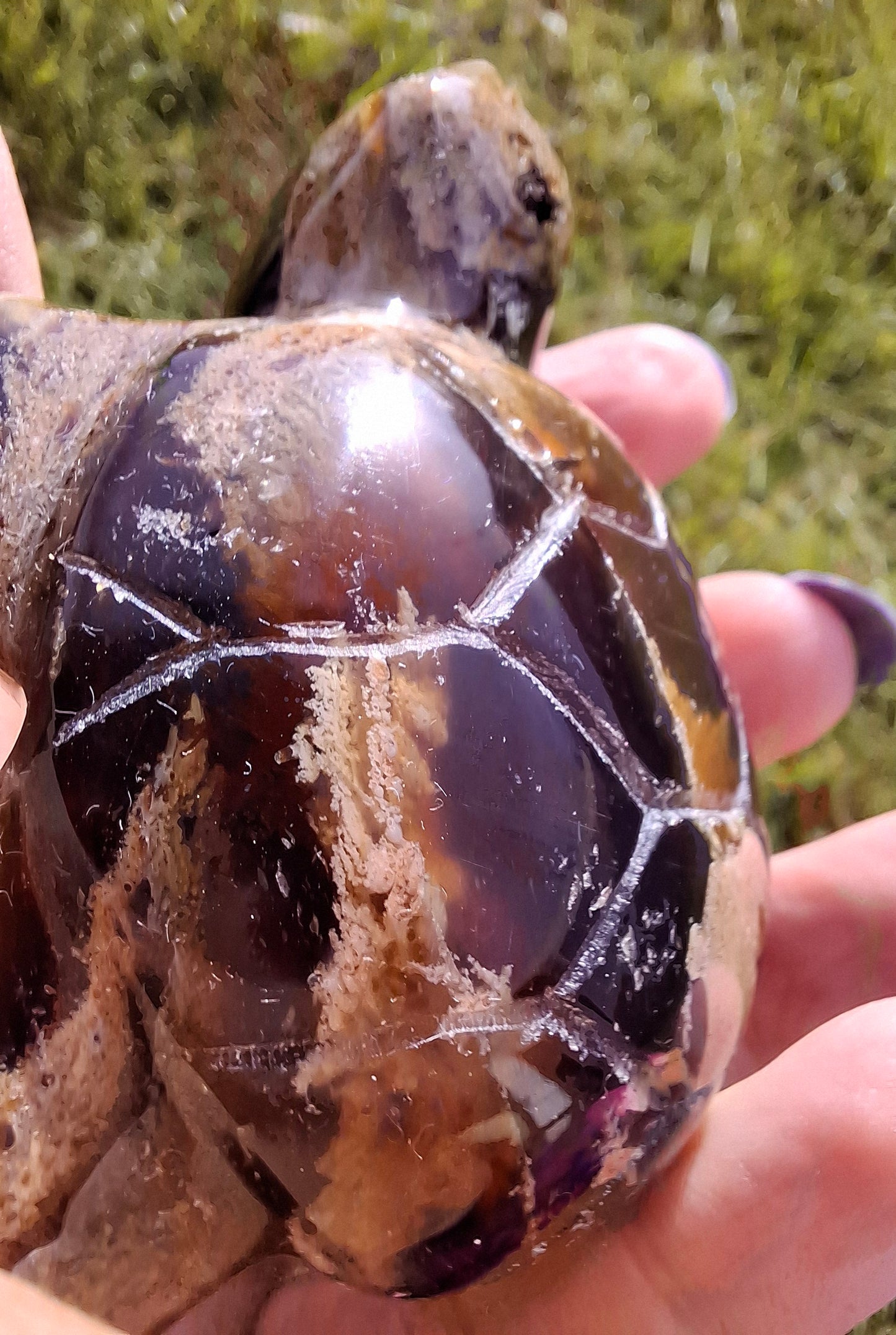 Red Amber Turtle, 56.87g, Carving, Fossil (Ref:TT7)