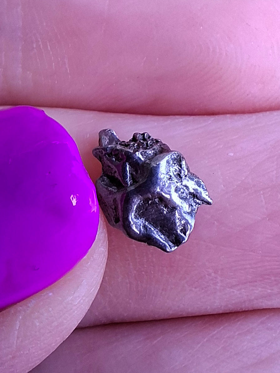 Campo del Cielo, 0.87g, Nickel Iron Meteorite (Ref: C4)