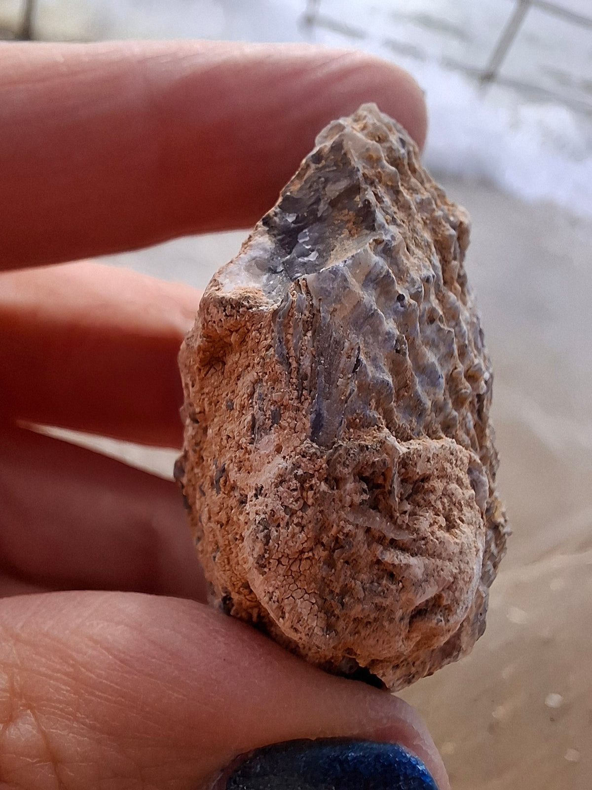 Chalcedony Oyster, Fossil (Ref: FO2)