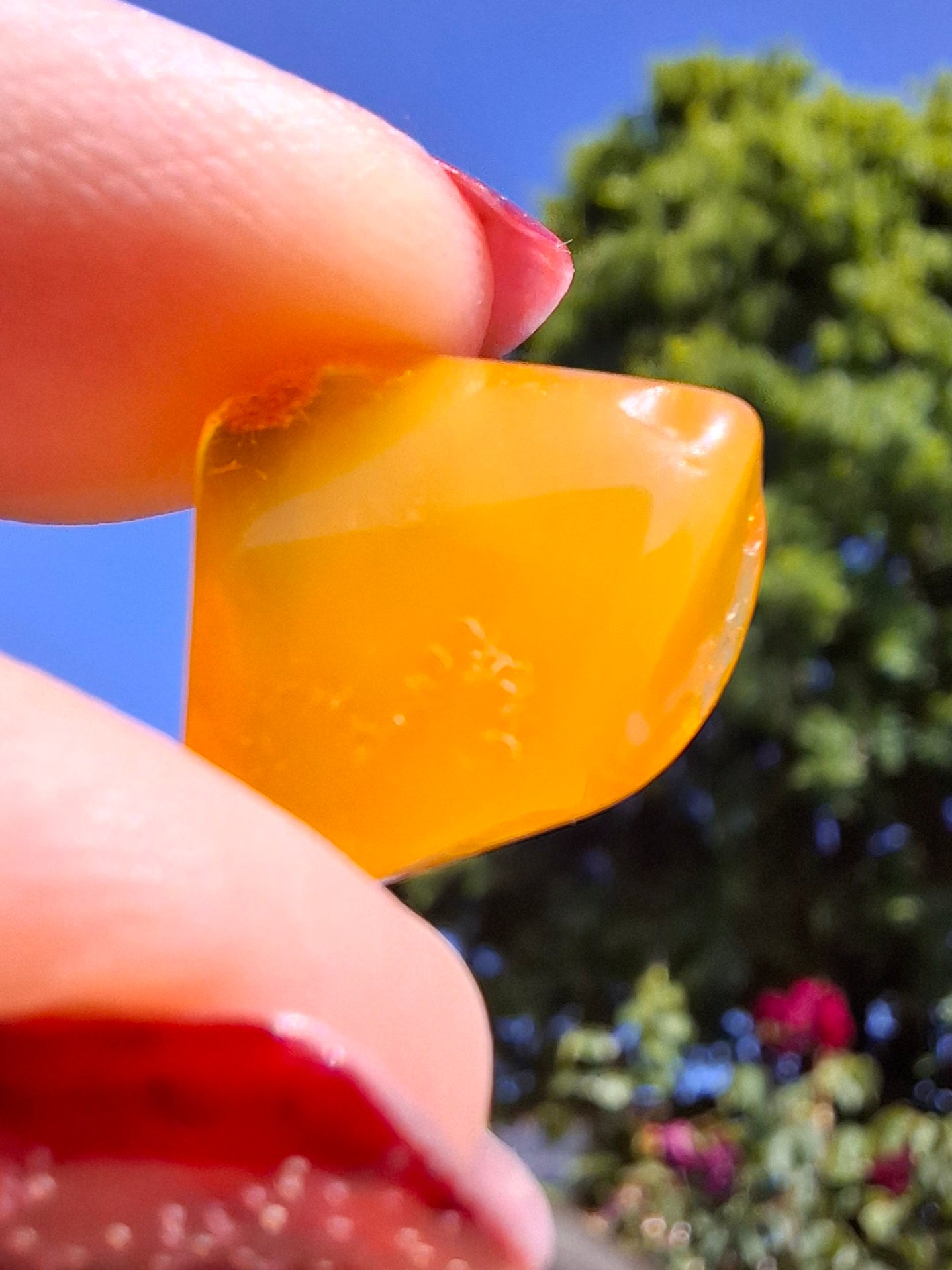Baltic Amber, 1.00g, Fossil (Ref: A250)