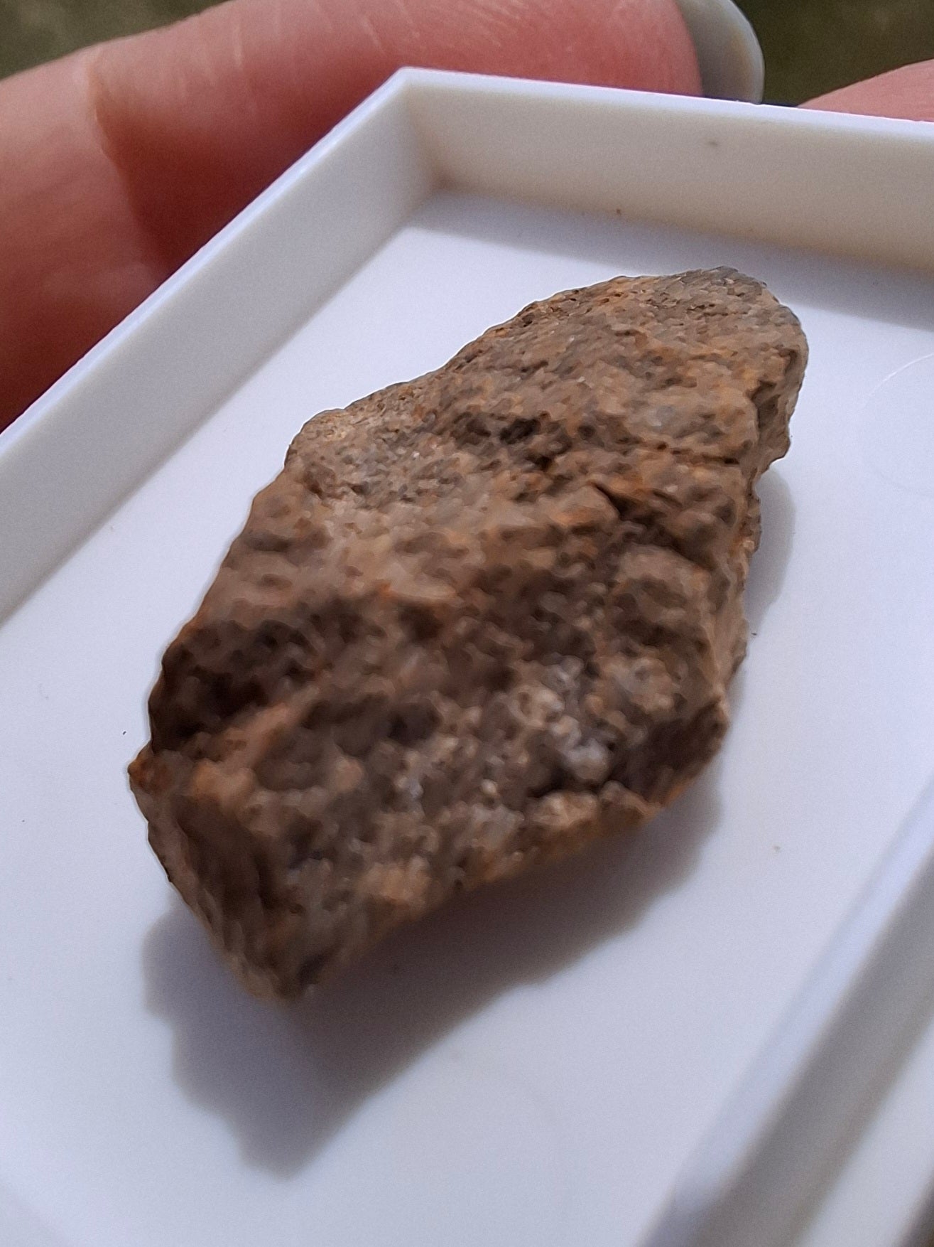 Chondrite, Meteorite (Ref: CM7)