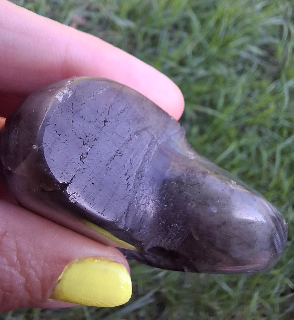 Labradorite Ammonite Carving, 146.90g, Crystal (Ref: laba5)