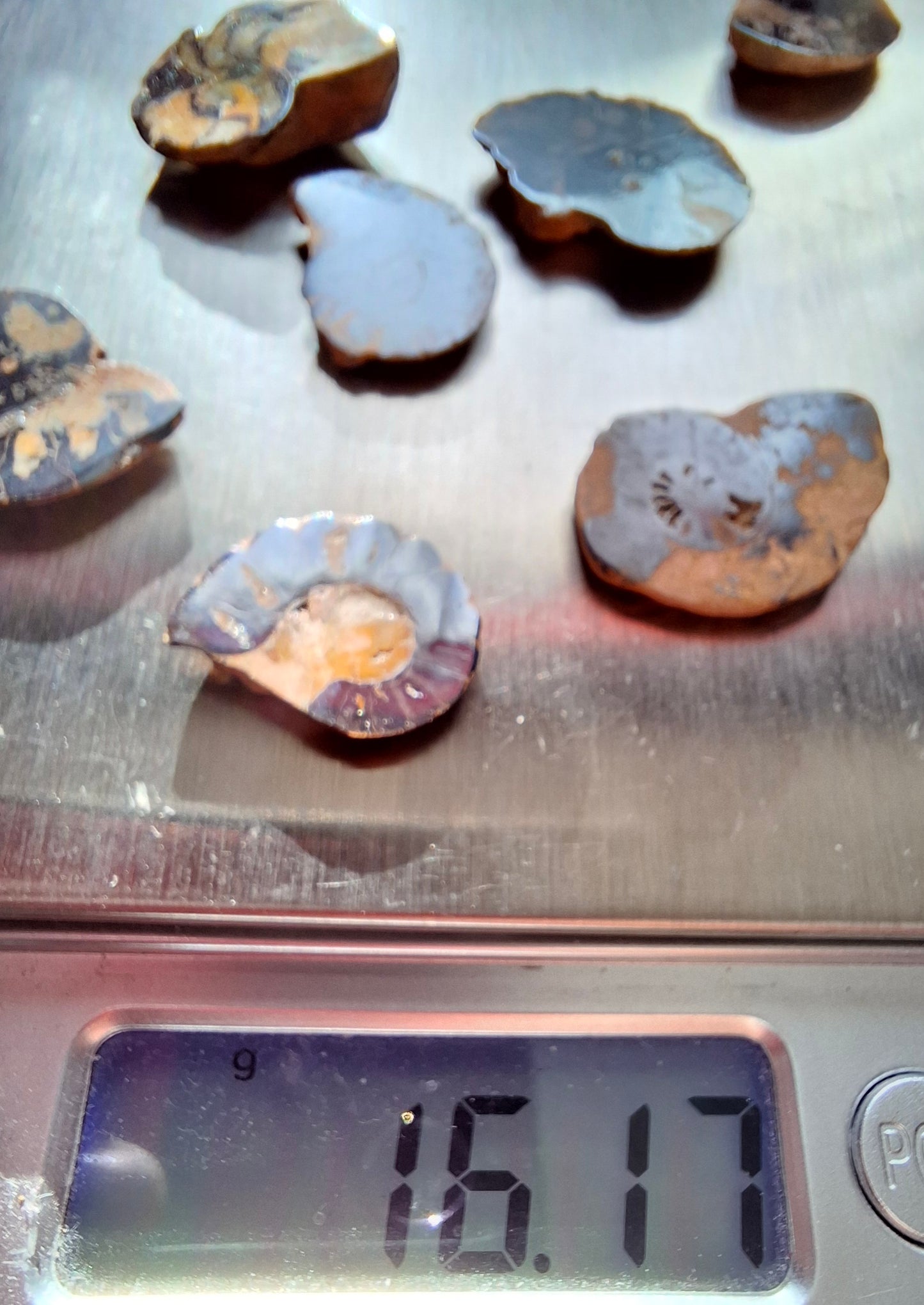 Small Haematite Ammonite Halves BUNDLE, (7 pcs), Fossil (Ref: MA13)