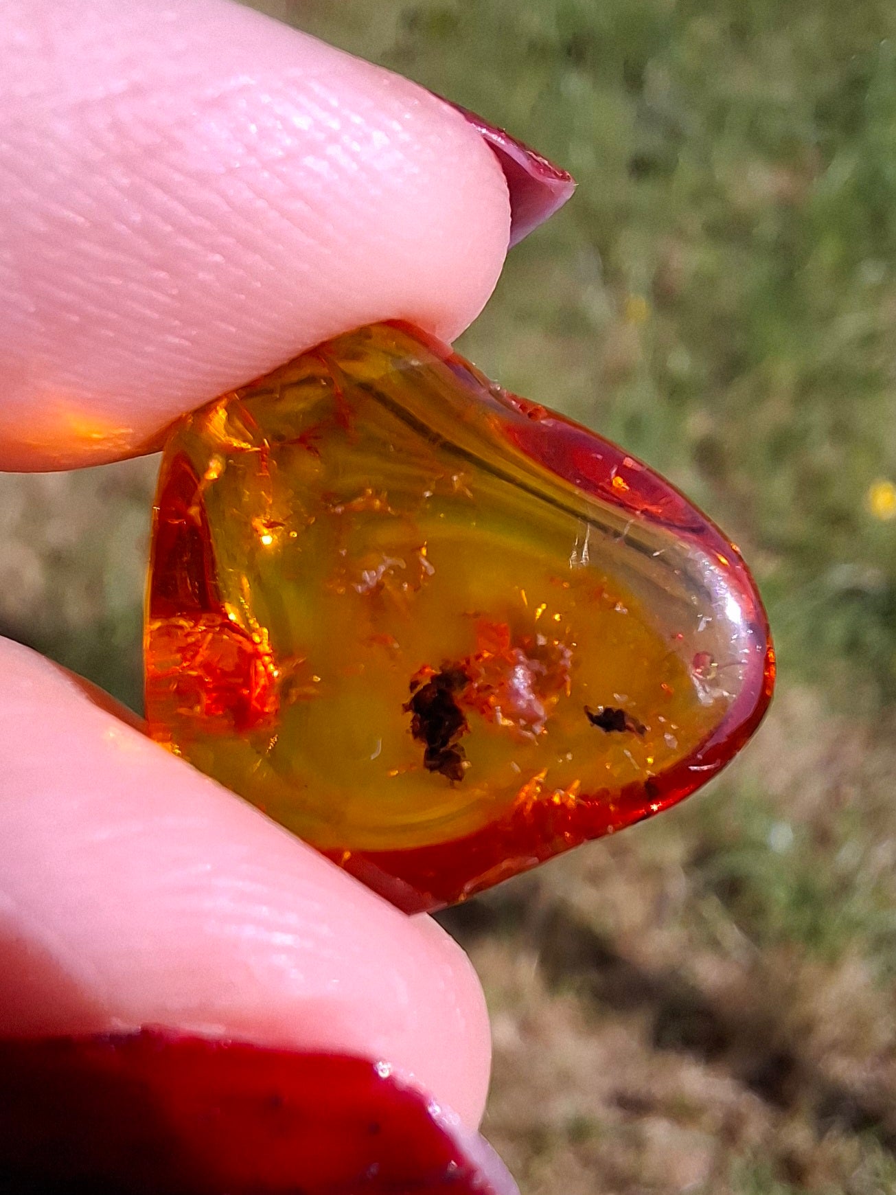 Baltic Amber, 0.97g, Fossil (Ref: A249)