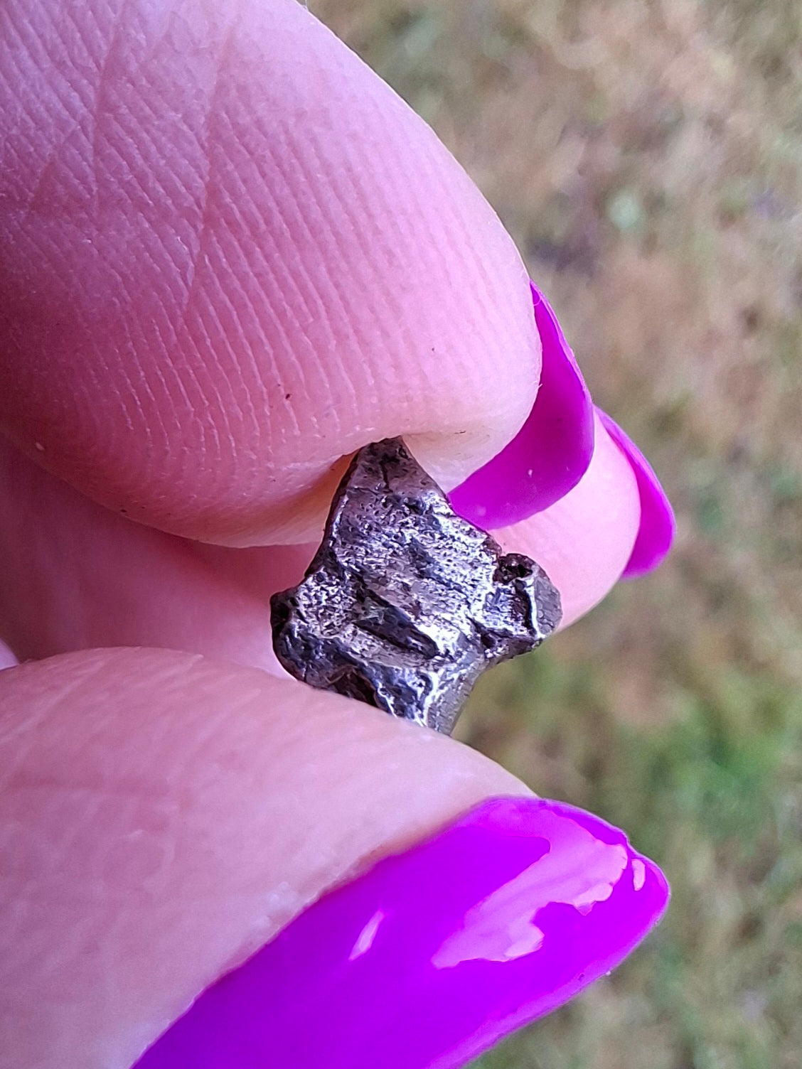 Campo del Cielo, 0.95g, Nickel Iron Meteorite (Ref: C2)