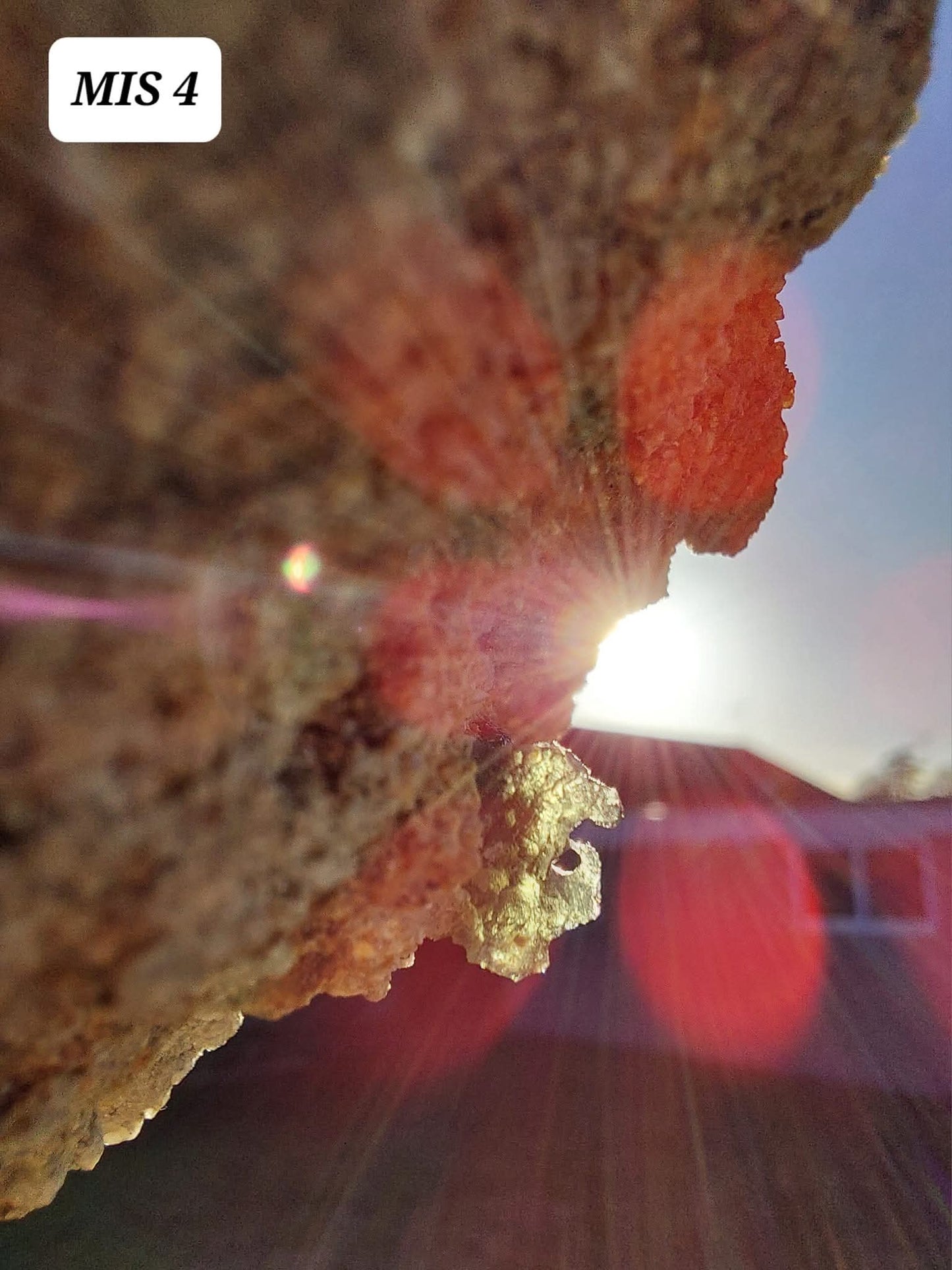 Moldavite In-Situ (in matrix), Besednice, Est- 2g, Tektite (Ref: MIS4)