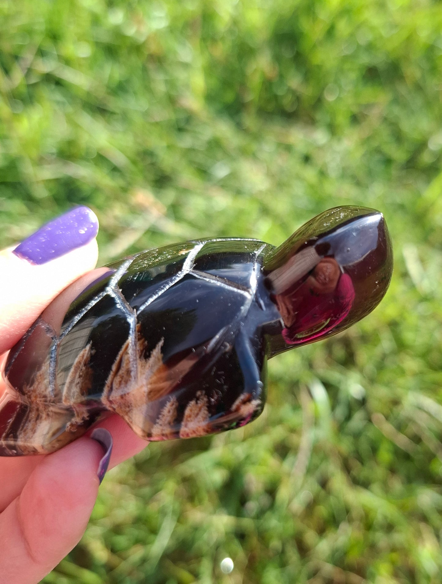 Red Amber Turtle, 47.85g, Carving, Fossil (Ref: TT4)