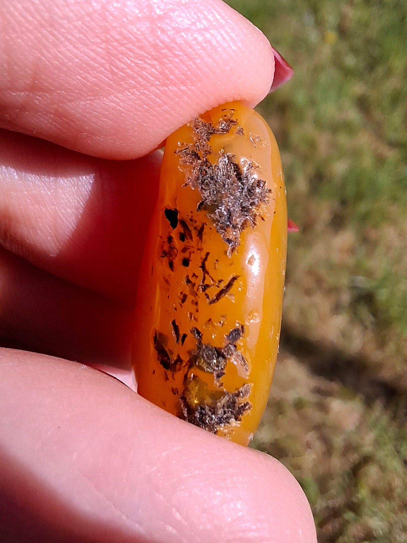 Baltic Amber, 2.20g, Fossil (Ref: A210)