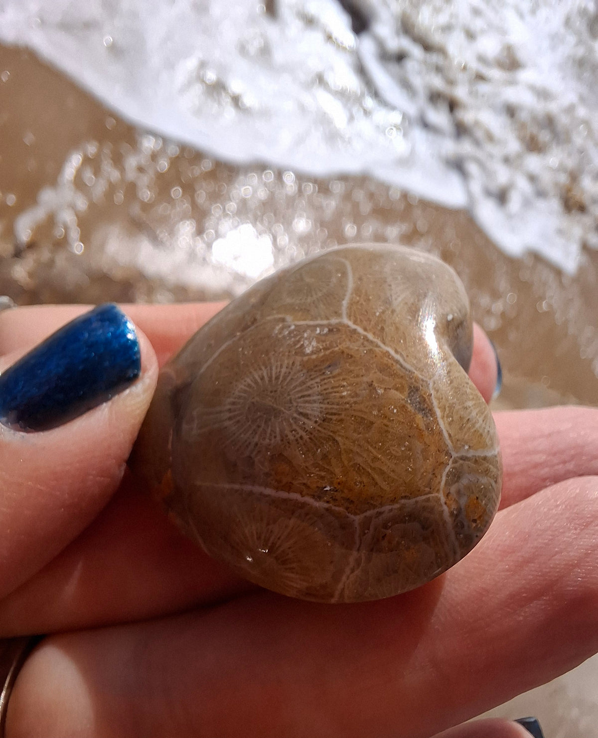 Fossil Coral Heart, (Ref: CoH2)