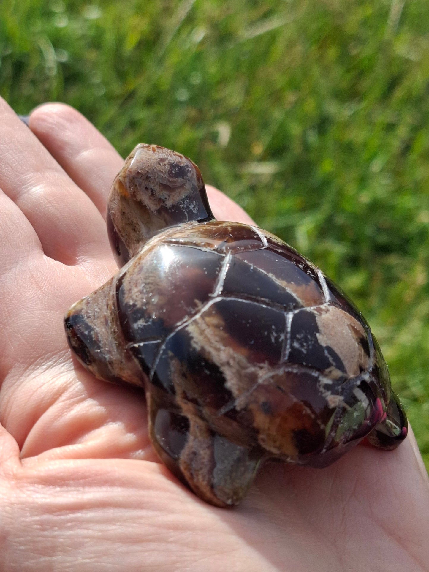 Red Amber Turtle, 56.87g, Carving, Fossil (Ref:TT7)