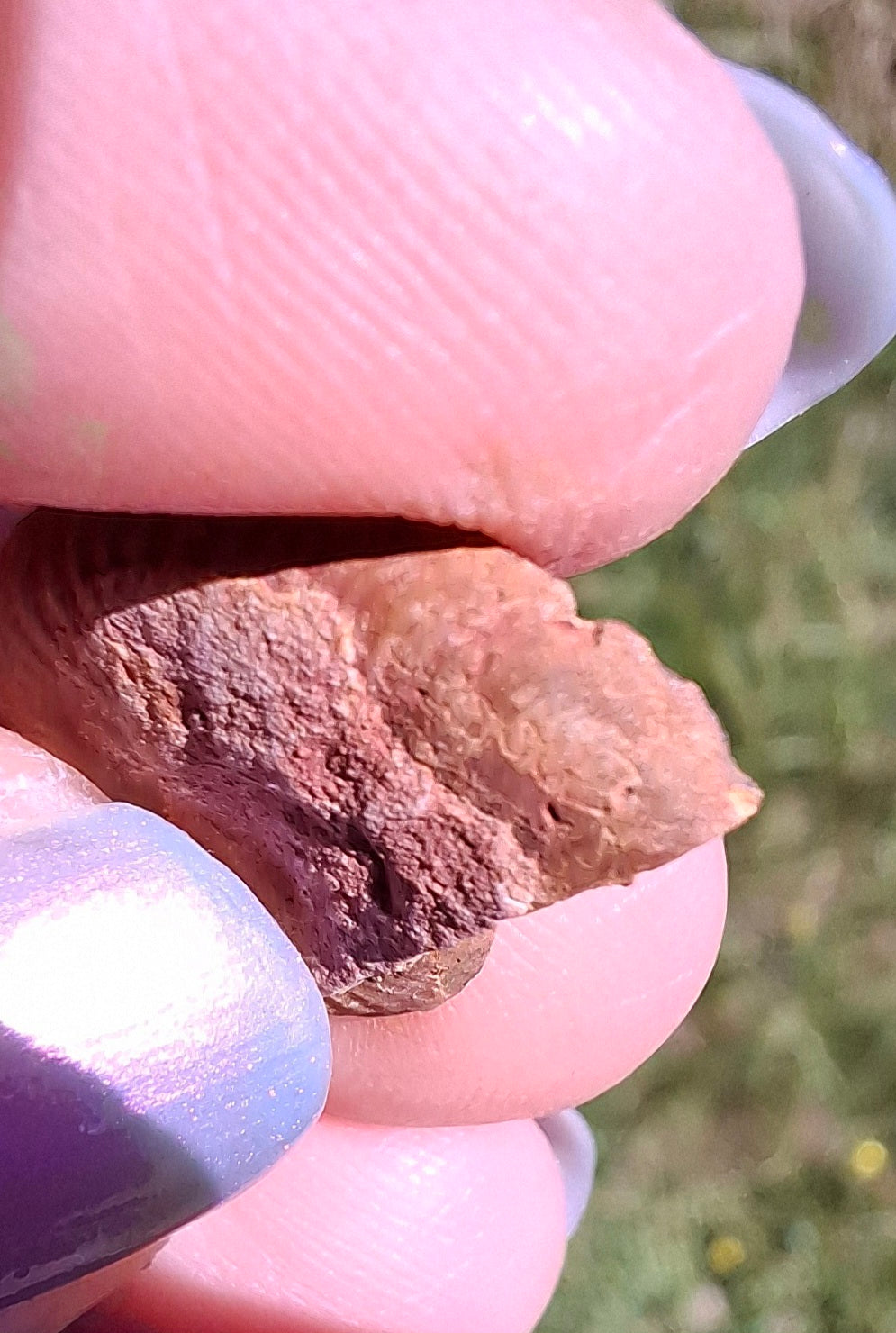 Small Haematite Ammonite HALF, 1.19g, Fossil (Ref: MA11)