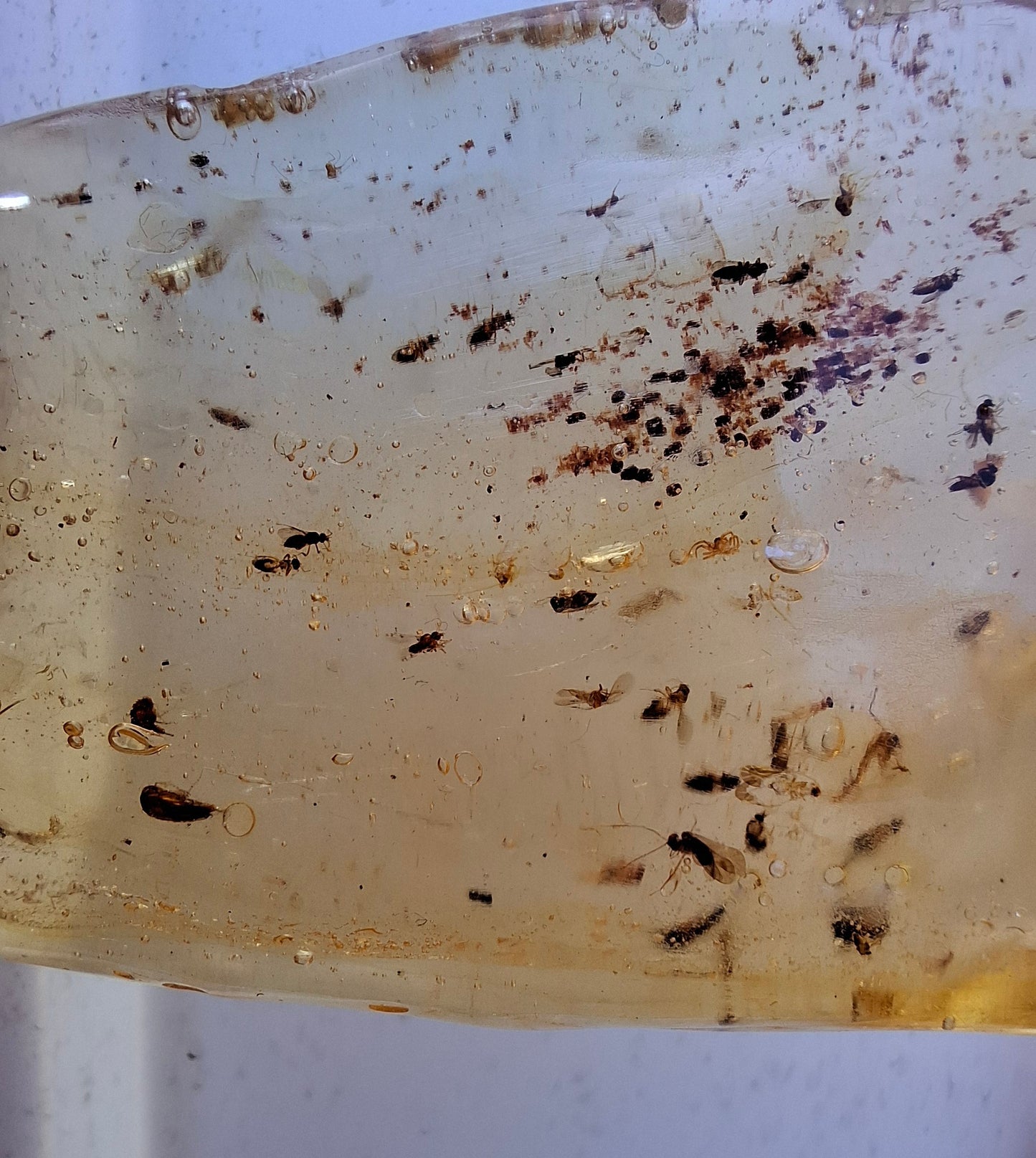 Copal Young Amber with INSECTS inside, 28.43g, Fossil (Ref: CA10)