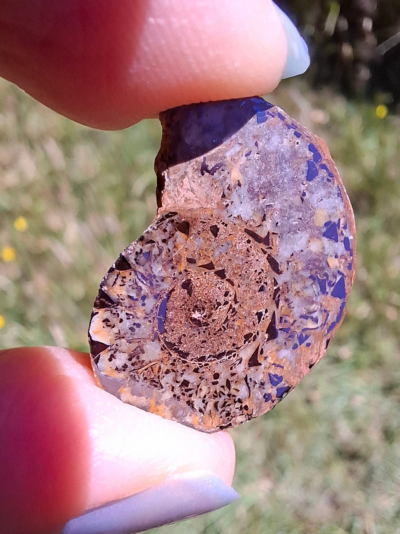 Small Haematite Ammonite HALF, 2.55g, Fossil (Ref: MA8)
