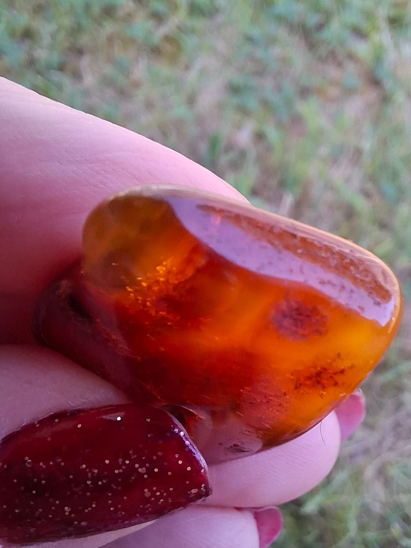 Baltic Amber, 4.50g, Fossil (Ref: A151)