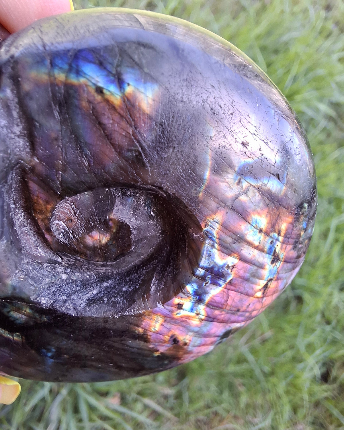 Labradorite Ammonite Carving, 153.97g, Crystal (Ref: laba2)