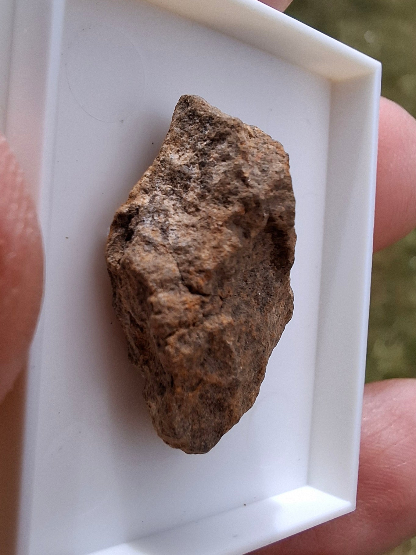 Chondrite, Meteorite (Ref: CM7)