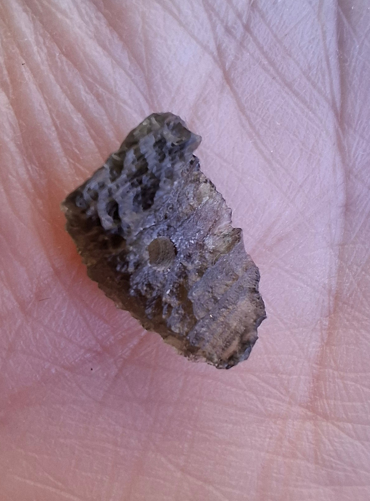 DRILLED, Moldavite Piece, 0.77g, Tektite (Ref: D29)