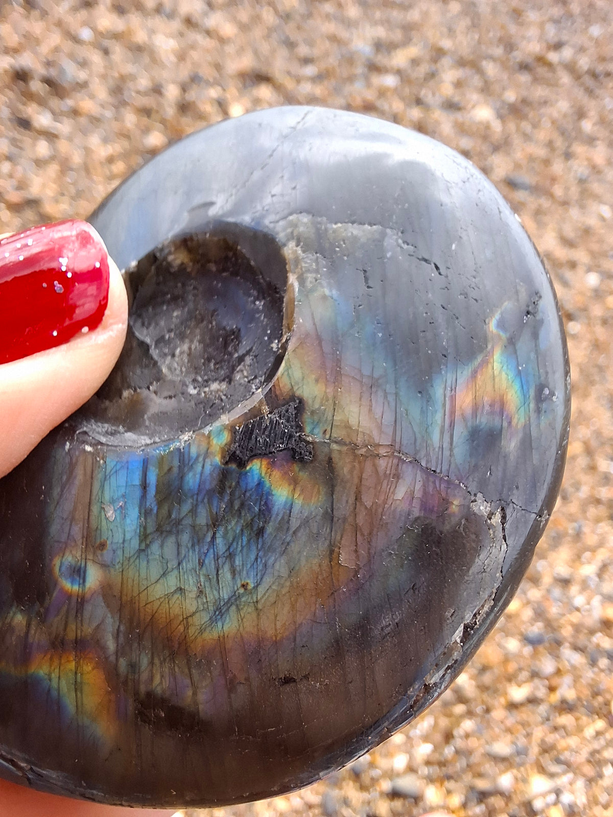 Labradorite Ammonite Carving, 89.31g, Crystal (Ref: laba6)