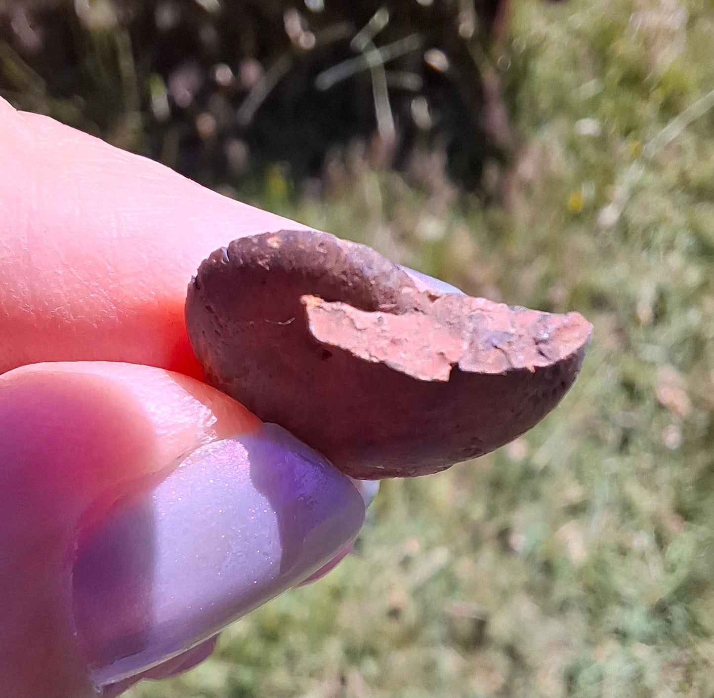 Small Haematite Ammonite HALF, 1.32g, Fossil (Ref: MA5)