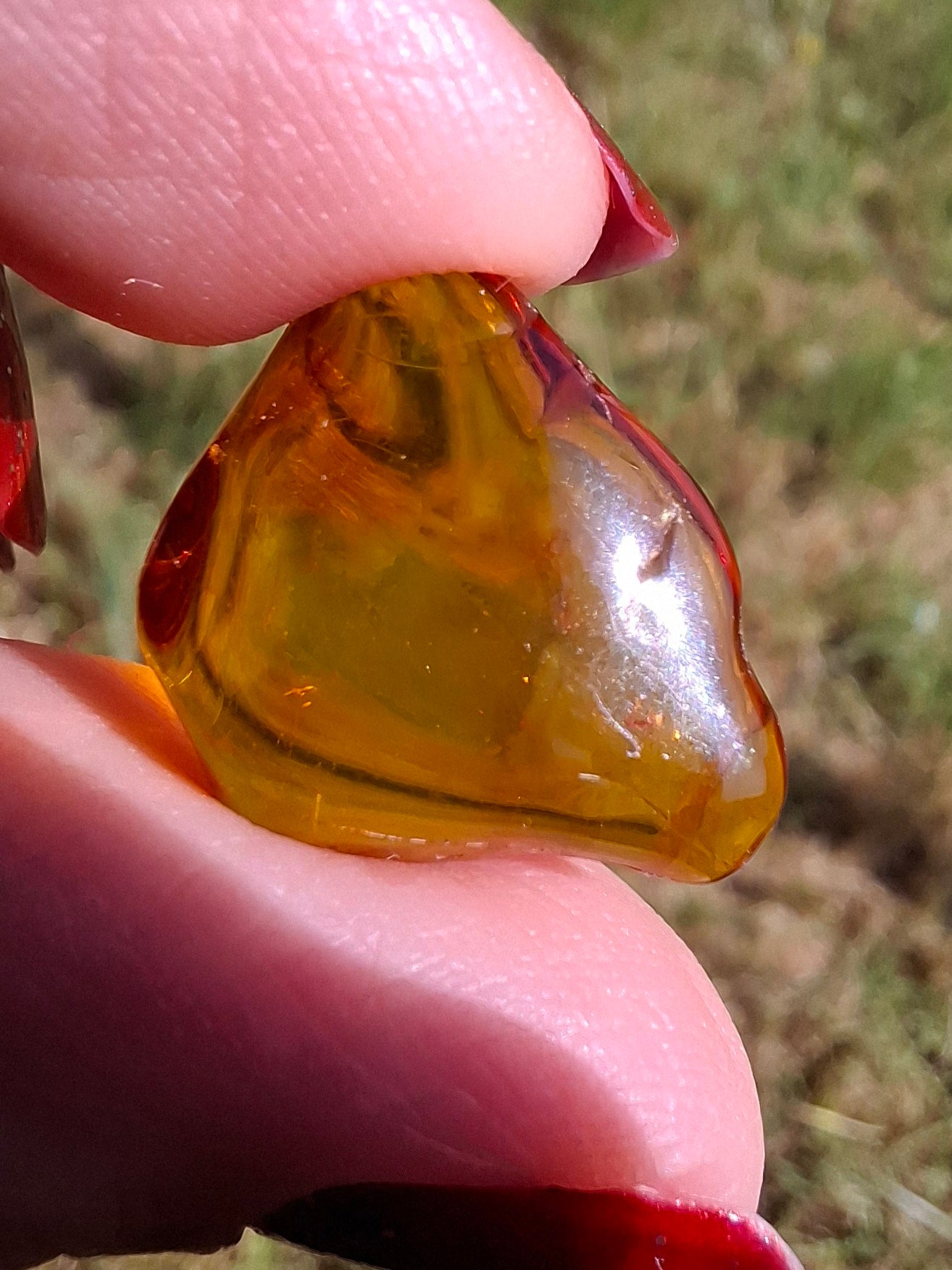 Baltic Amber, 0.88g, Fossil (Ref: A254)
