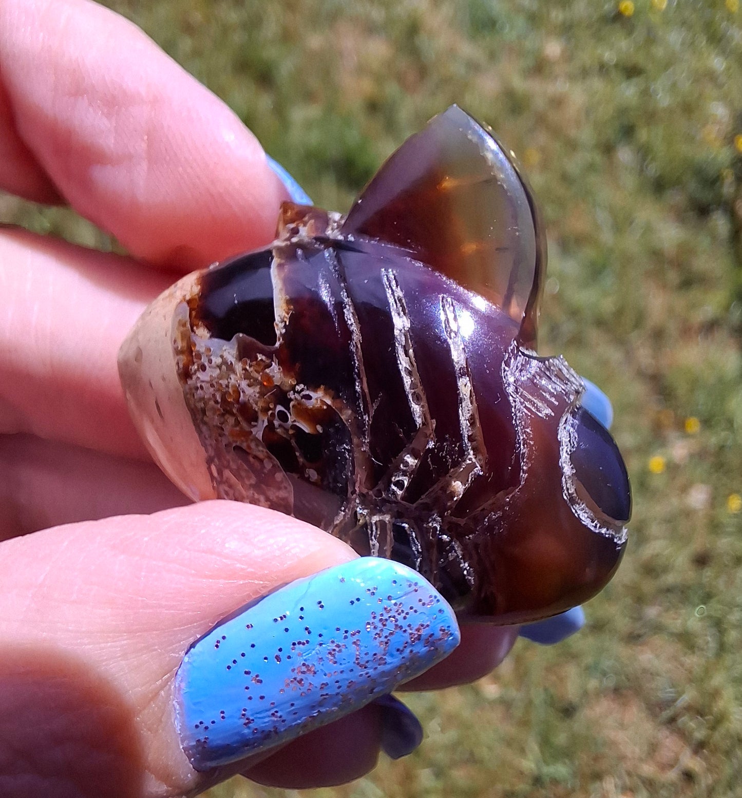 Red Amber Honey Bee Carving, 7.00g, Fossil (Ref: Bee31)